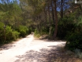 Itinerario Es Capdellà-Sa Vall Verda