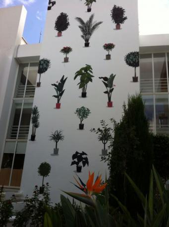 <p>Fen&oacute;menos aislados/Escif</p>