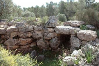 <p>Talayot de Son Miralles, Santa Pon&ccedil;a</p>